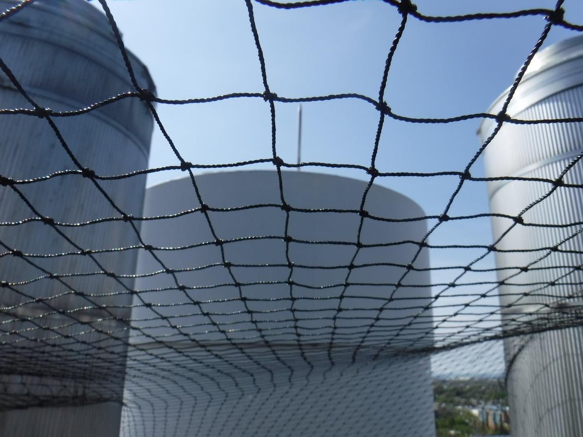 McLeanChimneyCo's tweet image. Birds are not fun to clean up after. 🐦 One of the most effective means of deterring birds is the use of bird netting.

Contact shawn@mcleanchimney.com with questions

#ChimneyExperts #McleanChimneyCoLtd #Canada #Ontario #IndustrialChimneyInspection #IndustrialChimenyMaintenance