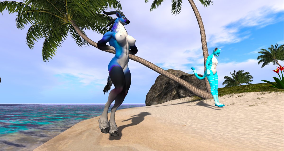 StirlingCorgi's tweet photo. My lovely Talbuk sweetie posing nude around Knotty Beach. #furry #talbuk #SecondLife https://t.co/AMe1m9nDHd