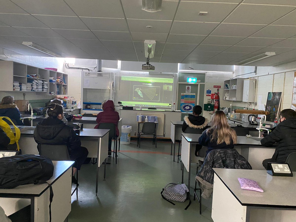 TCSTallaght's tweet photo. @BatLabUCD 's very own #batman @ConorWhelan08 had us riveted earlier, talking about bats and their place in Ecology. What an interesting line of work! #battastic @ScienceWeek https://t.co/g4lcYXfrRG