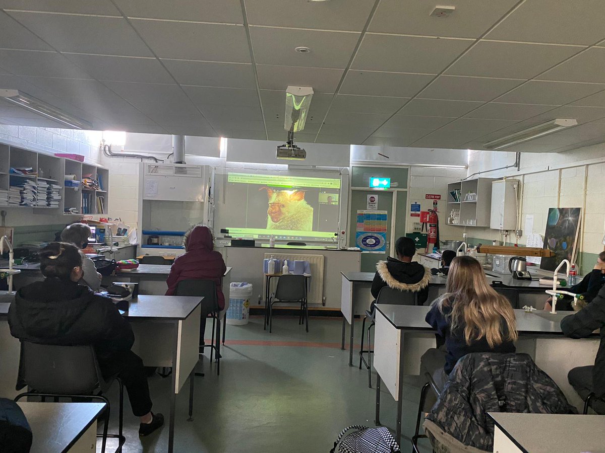 TCSTallaght's tweet photo. @BatLabUCD 's very own #batman @ConorWhelan08 had us riveted earlier, talking about bats and their place in Ecology. What an interesting line of work! #battastic @ScienceWeek https://t.co/g4lcYXfrRG