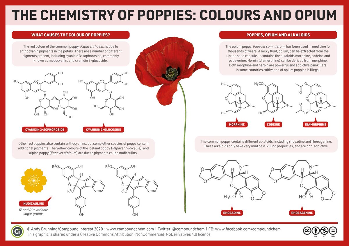 Here is the #chemistry behind the colours of #poppies and #opium! #HappyRemembranceDay #chemistryOFpigments #textiles #dyes #LestWeForget #WW1 #WW2