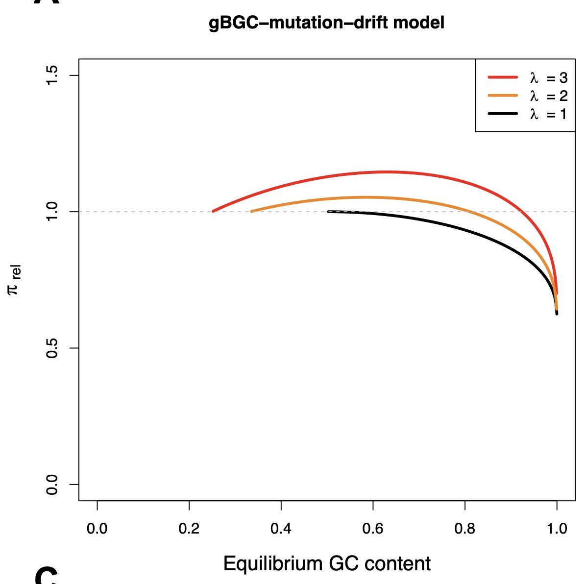 We repurposed a model on codon usage bias and observed that gBGC may increase genetic diversity over time if balanced by a mutation bias (>1) at GC content in the range ~0.2-0.6. (5/8)