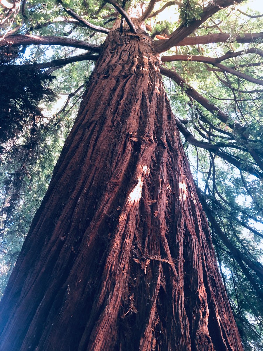 Herefordshire and Worcestershire Health & Care NHS tweet media