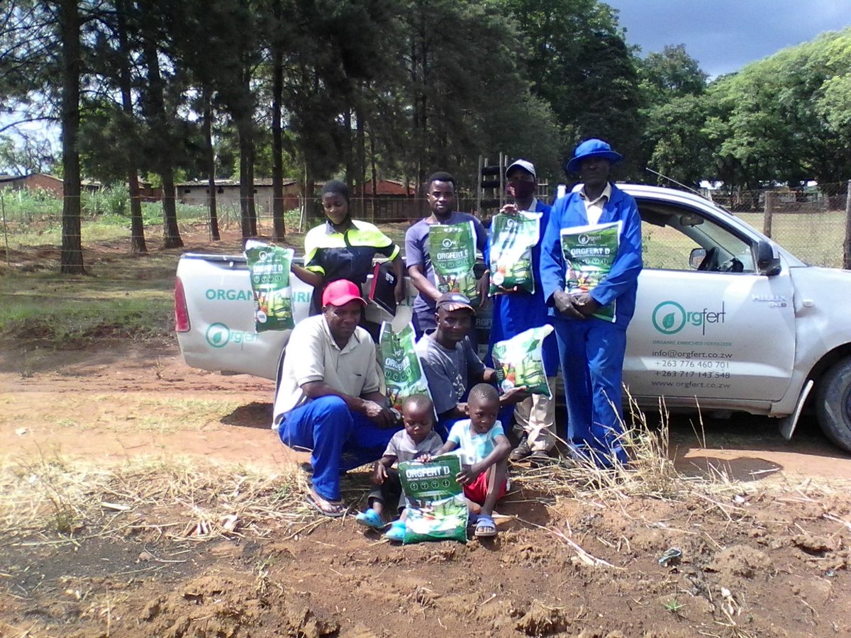 Chipo_marowah's tweet photo. Day1 .. Orgfert distributing Orgfert D (7.7.7) to maize farmers. Watch this space for field updates on the performance of our fertilizers.
#Orgfert harvest with pride#
@Orgfert1 @MoLAWRR_Zim @MaminiminiObert @farmshopZW @TawandaKaserera https://t.co/AW4bLN3j8S