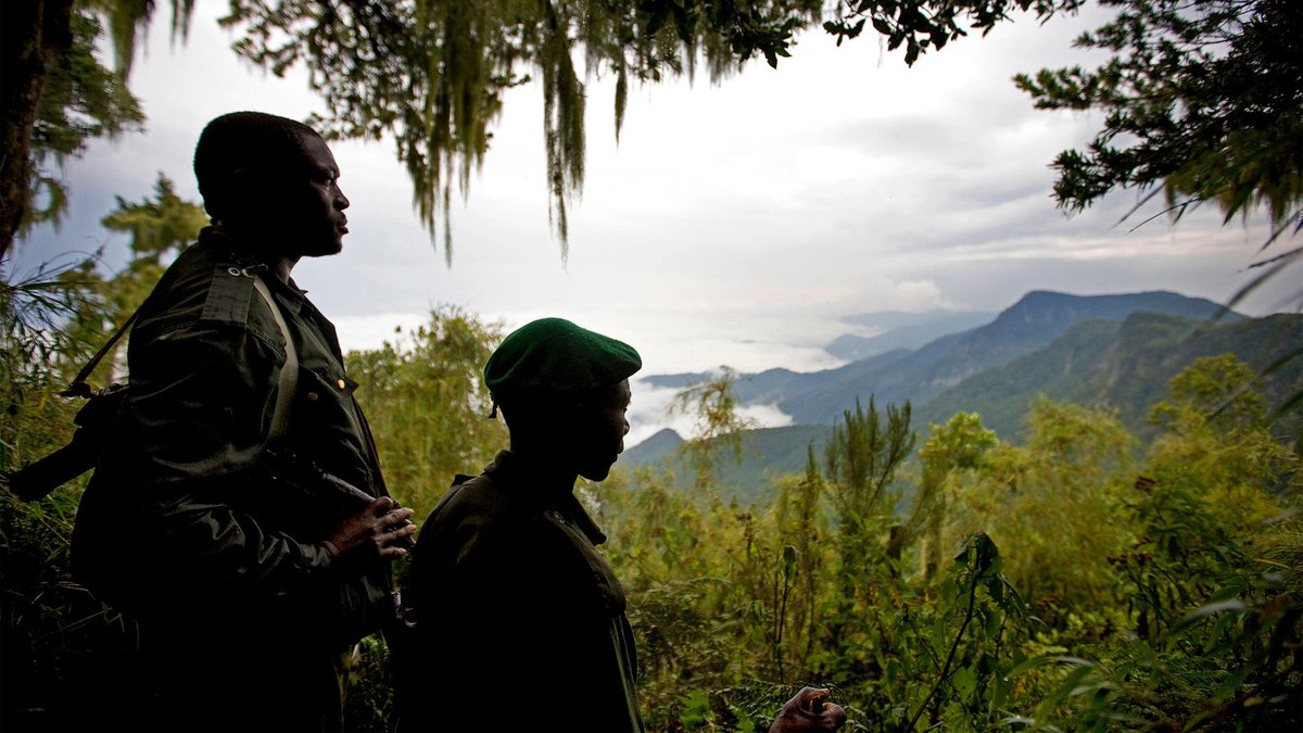 CapsCoalition's tweet image. Nature Is Also A Casualty Of War, @AntonioGuterres Warns:

UN Secretary-General calls for better management of natural resources &amp;amp; ecosystems, arguing this could pave a path to peace in war-torn societies &amp;amp; help countries boost sustainable development.

bit.ly/2IkVwo1