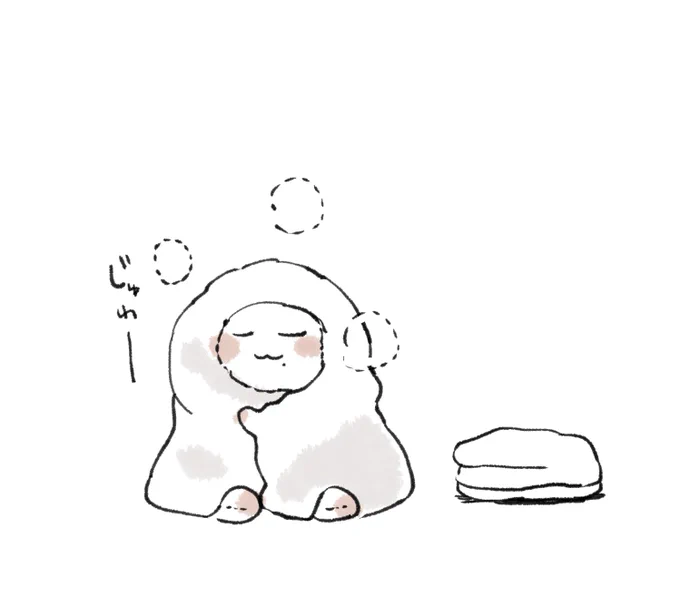 風呂上がりに綿の水分をタオルに吸わせるぬいきよ 