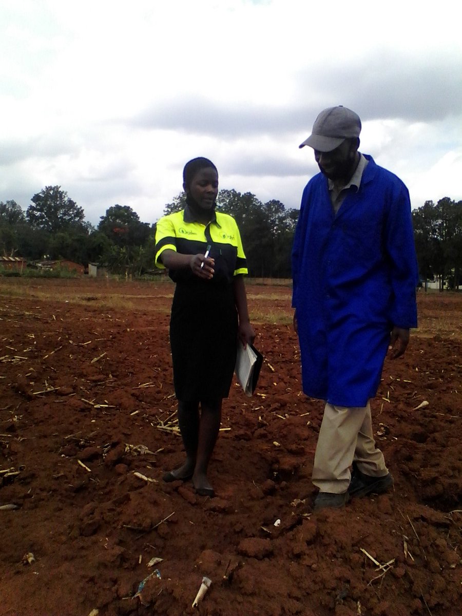 Chipo_marowah's tweet photo. Day1 .. Orgfert distributing Orgfert D (7.7.7) to maize farmers. Watch this space for field updates on the performance of our fertilizers.
#Orgfert harvest with pride#
@Orgfert1 @MoLAWRR_Zim @MaminiminiObert @farmshopZW @TawandaKaserera https://t.co/AW4bLN3j8S