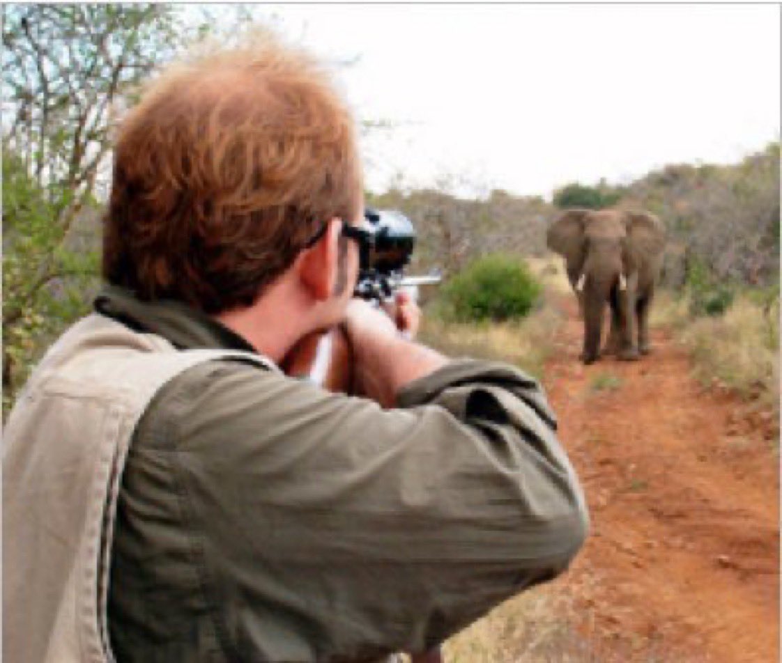 bernabephoto's tweet photo. RT if you agree that only psychopaths kill for pleasure, ego, and status while feeling no guilt or remorse for taking an innocent life. #BanTrophyHunting https://t.co/stWYygznZu
