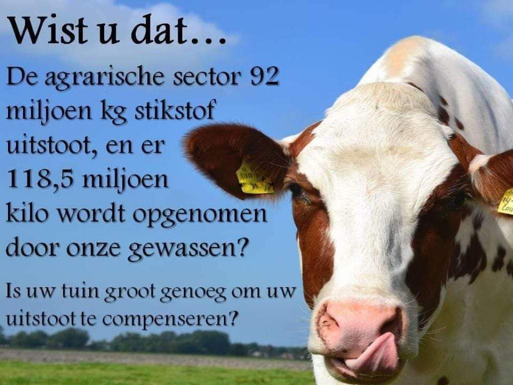 Brenda van Beek (@bren2u2) on Twitter photo 