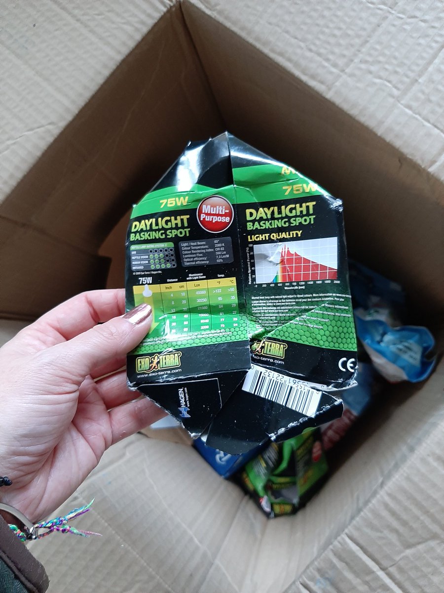 HCarle88's tweet photo. So disappointed with @fetchlovespets yet again. Another order, another abomination.
Do you know what 2 lightbulbs look like after being in the same box as 24 cans of dog food with NO protection..... everything is covered in tiny bits of glass!
Not ordering from you again! 🤬🤬🤬 https://t.co/Y6DiHD2iB3