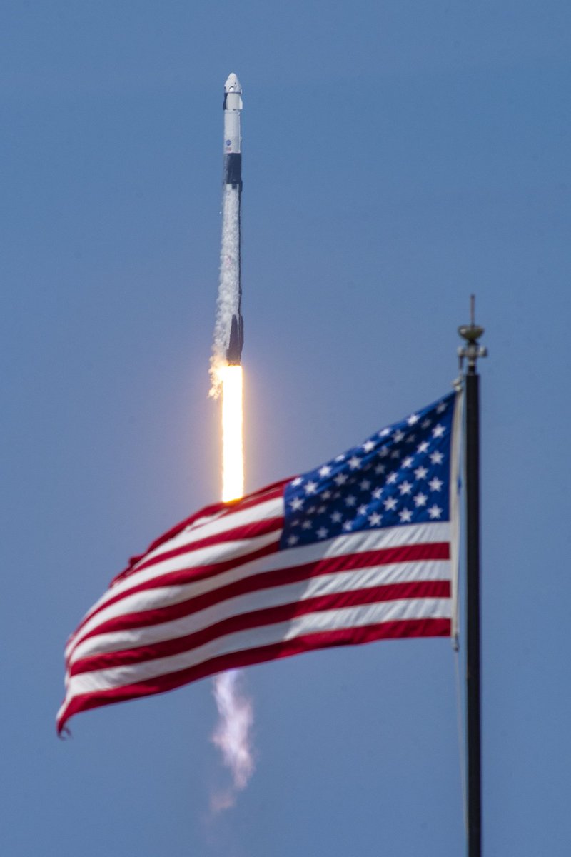 RxScience's tweet photo. Thank you to all those who have served and sacrificed #VeteransDay https://t.co/PL5UhQkxdC