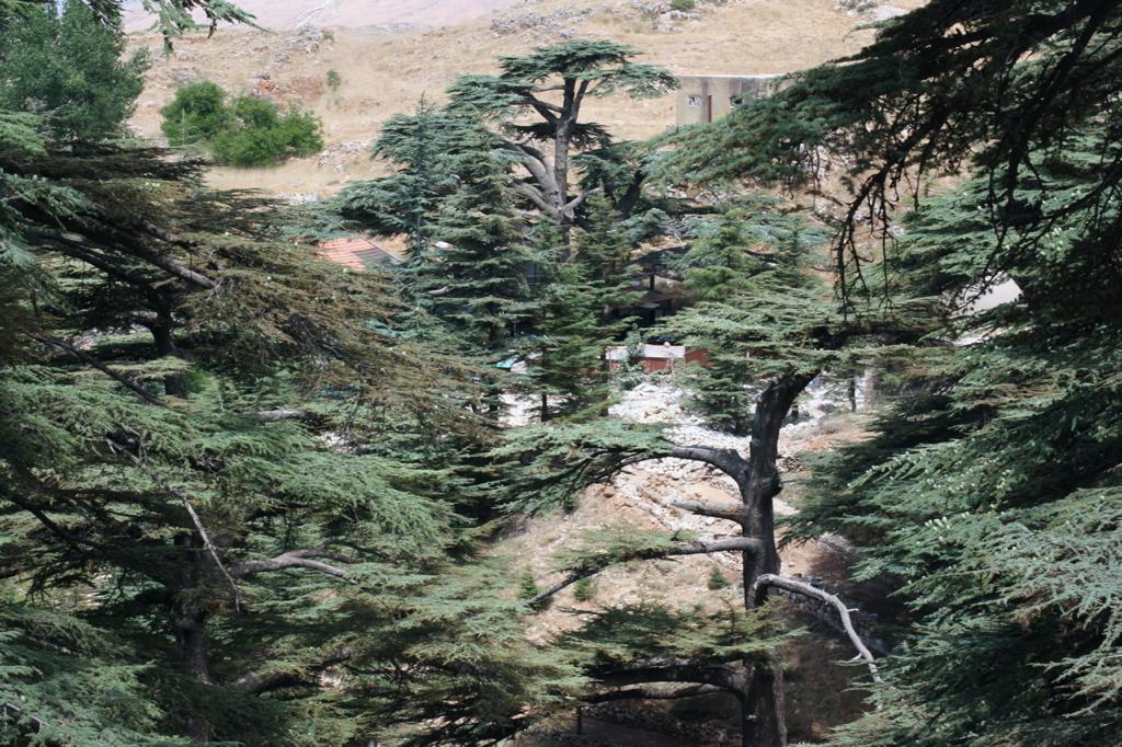 Salina Grenet-Catalano tweet media