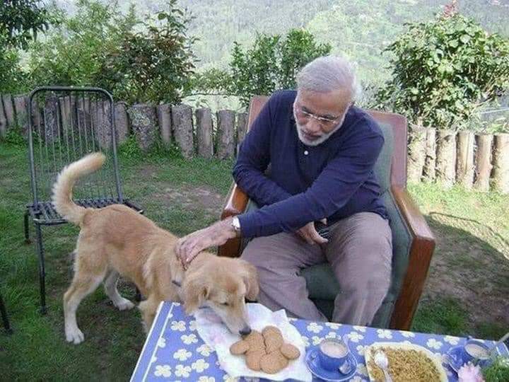 AestheticHassan's tweet photo. Arnab goswami After getting bail https://t.co/e65lHYPnRY