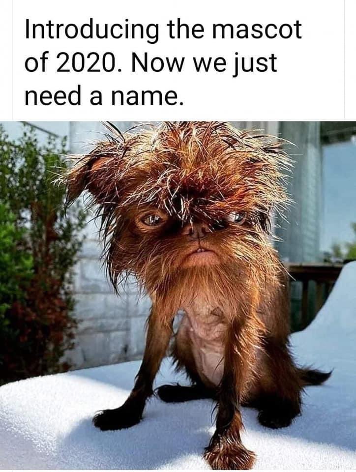 LloydLegalist's tweet photo. https://t.co/yfwIK0m3yR