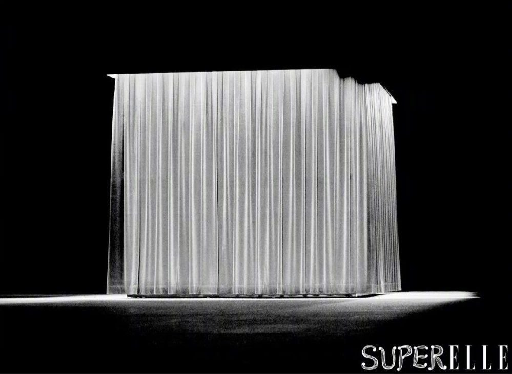 celine show captured by lisa