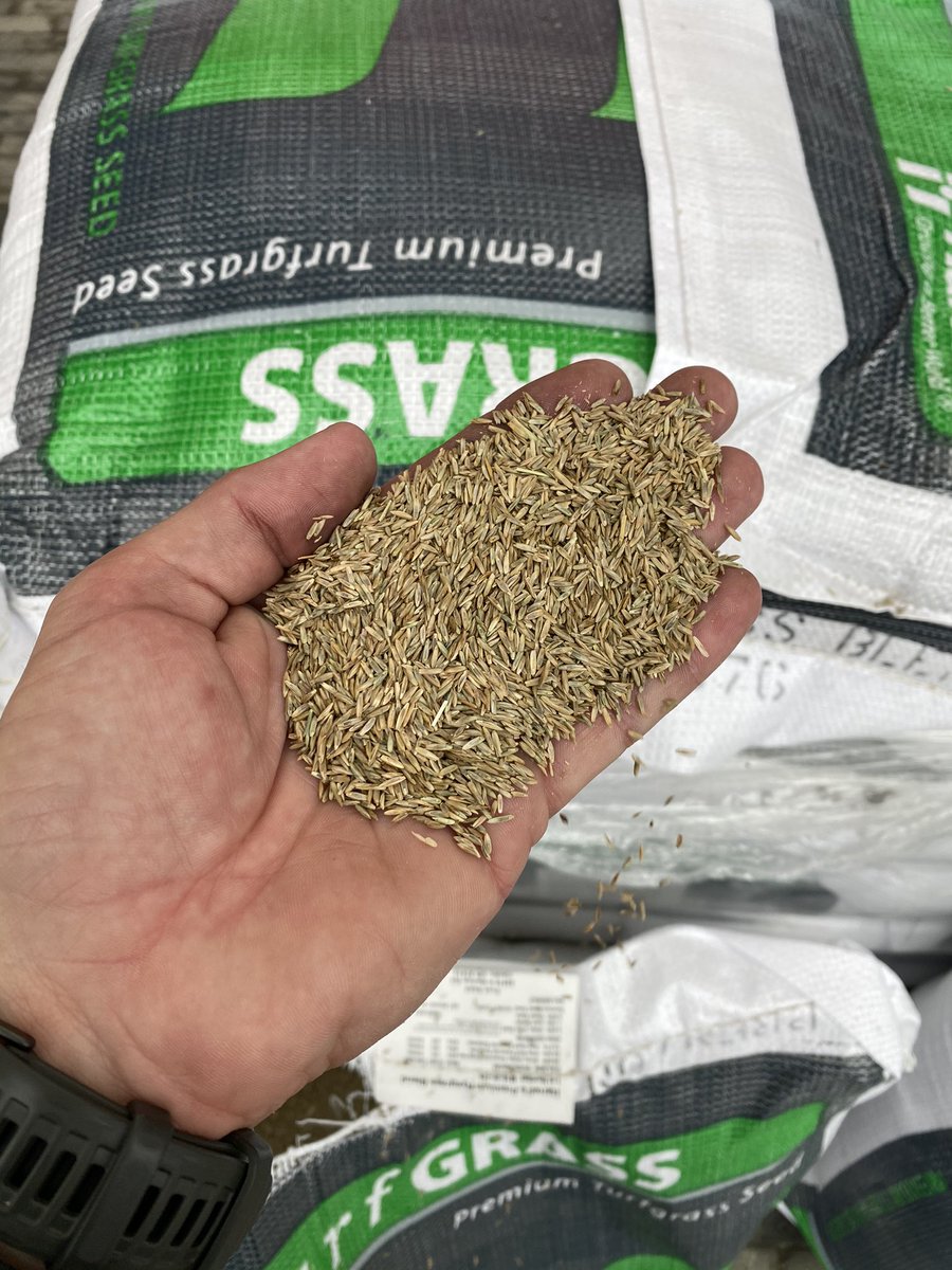 NPappas23's tweet photo. That time. @TifTufBermuda getting that @HarrellsLLC @PureSeed_RPMS overseed rye blend. https://t.co/W2eiyPfot8
