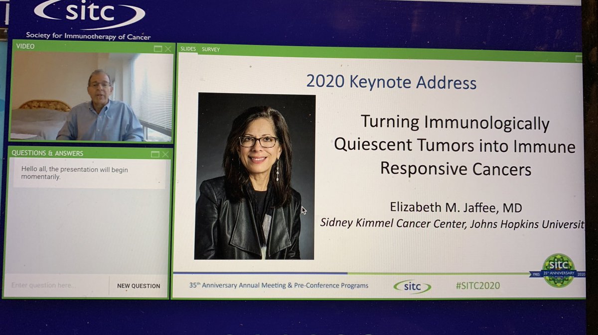 BernardAFox's tweet photo. Prof Liz Jaffee #PancreaticCancer #immunotherapy Guru @bloombergkimmel gives tour de force review of amazing & promising efforts from her group/impressive effect of triplet I-O/#vaccine + #CD137 + #PD1 on generating CD8+GZMB+ T cells & #CTLA4 & PD1 #SITC2020 @BMS_ImmunOnc_US https://t.co/bb0yz6mMnY