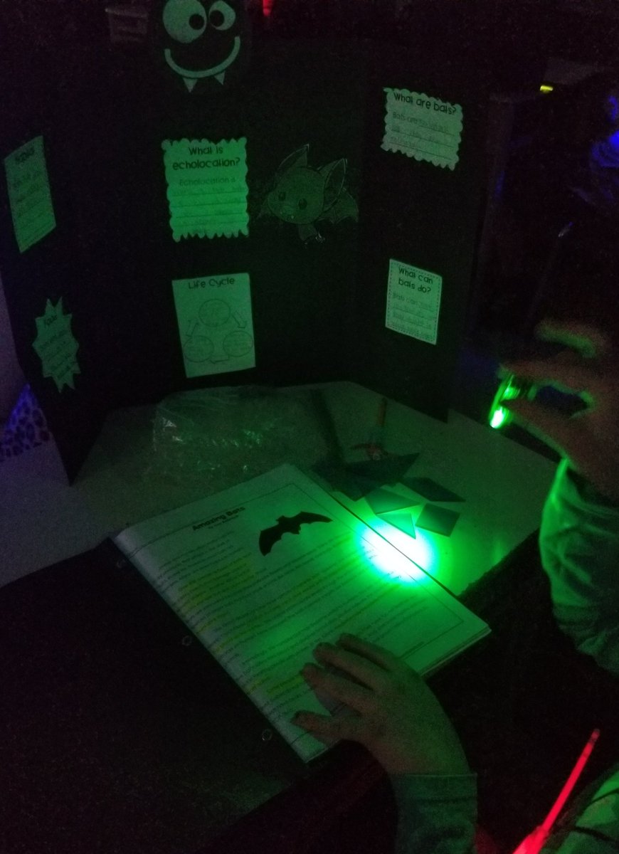 redsher99's tweet photo. Working in the bat cave today. 🦇 #rcdsbexperientiallearning #literacy @cobdendps @RCDSB https://t.co/oxxwarX25x