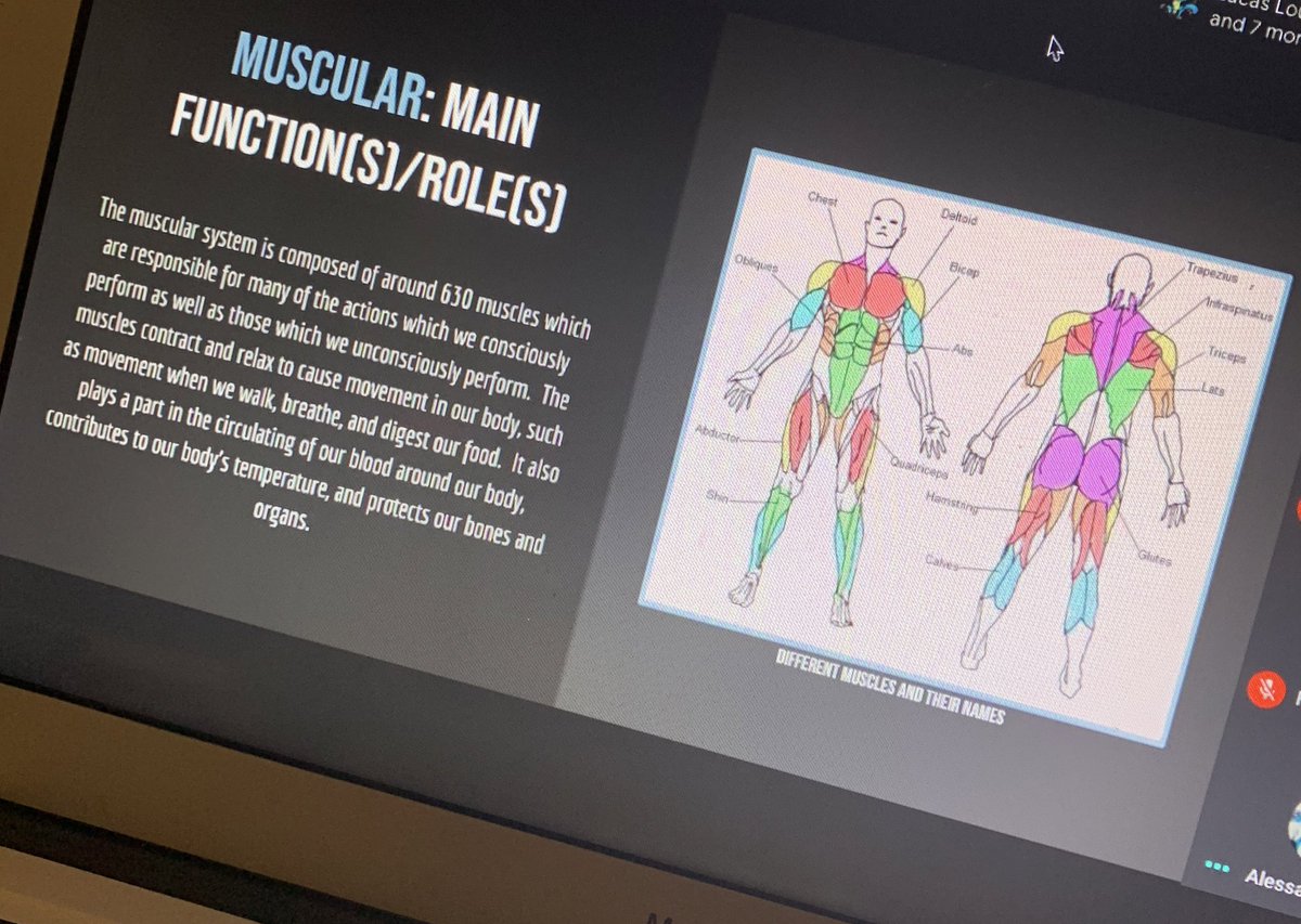 Mrs_Pastore's tweet photo. Some awesome presentations from my virtual students! Organ systems student led lessons, and virus/disease infographics! 👏🏼📰🦠🩺 @StJoachimDPCDSB https://t.co/WPFeFtTpdv