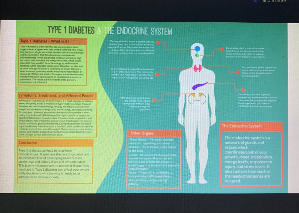 Mrs_Pastore's tweet photo. Some awesome presentations from my virtual students! Organ systems student led lessons, and virus/disease infographics! 👏🏼📰🦠🩺 @StJoachimDPCDSB https://t.co/WPFeFtTpdv