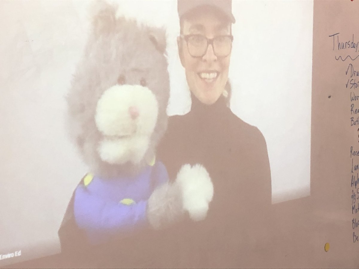 MisterPetrie's tweet photo. Grade 1 is loving their virtual visit with Eddie. @CleanFoundation @oxfordschoolhfx @HRCE_NS https://t.co/cHvM3uKhBz