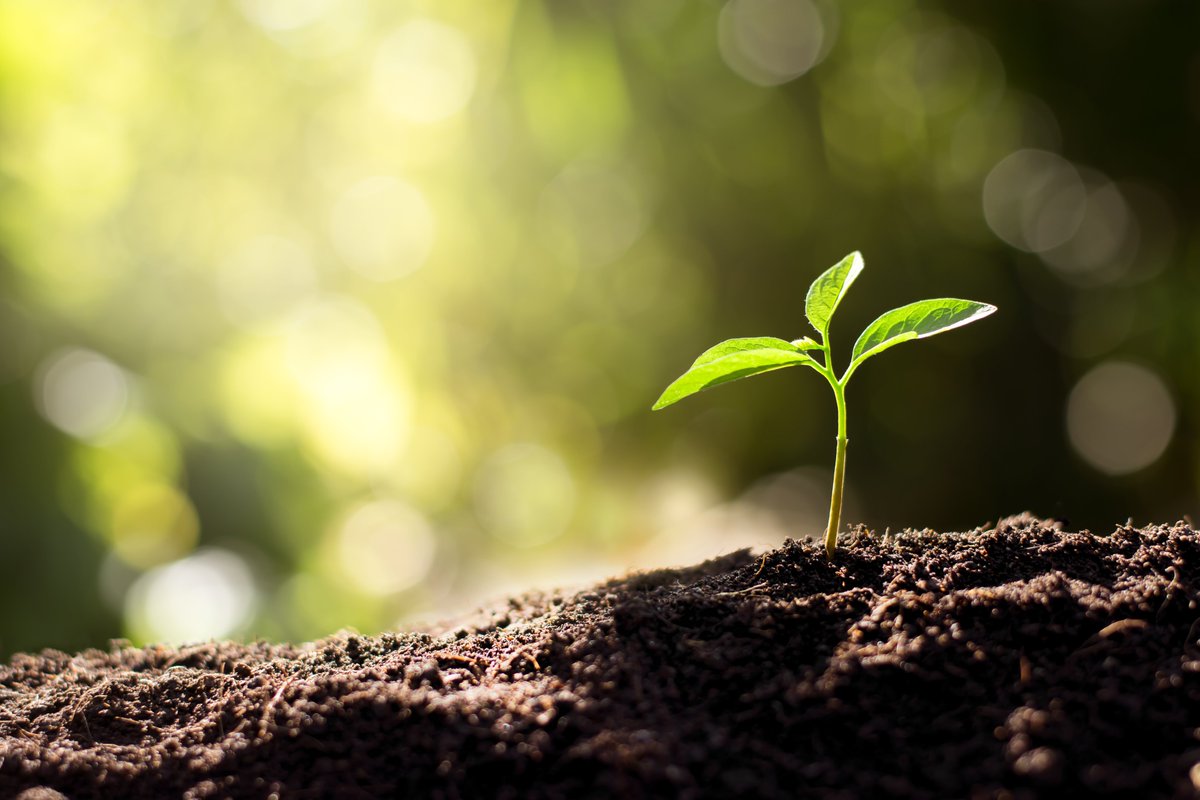 FedByScience's tweet photo. @soarfdn news release applauds Proposed Funding Increase for @USDA Flagship Competitive Science Program: Senate appropriations bill would increase the funding of @USDA_NIFA AFRI to $435M for FY2021 https://t.co/SlqVtKfpIy https://t.co/yOQ2EhATtE
