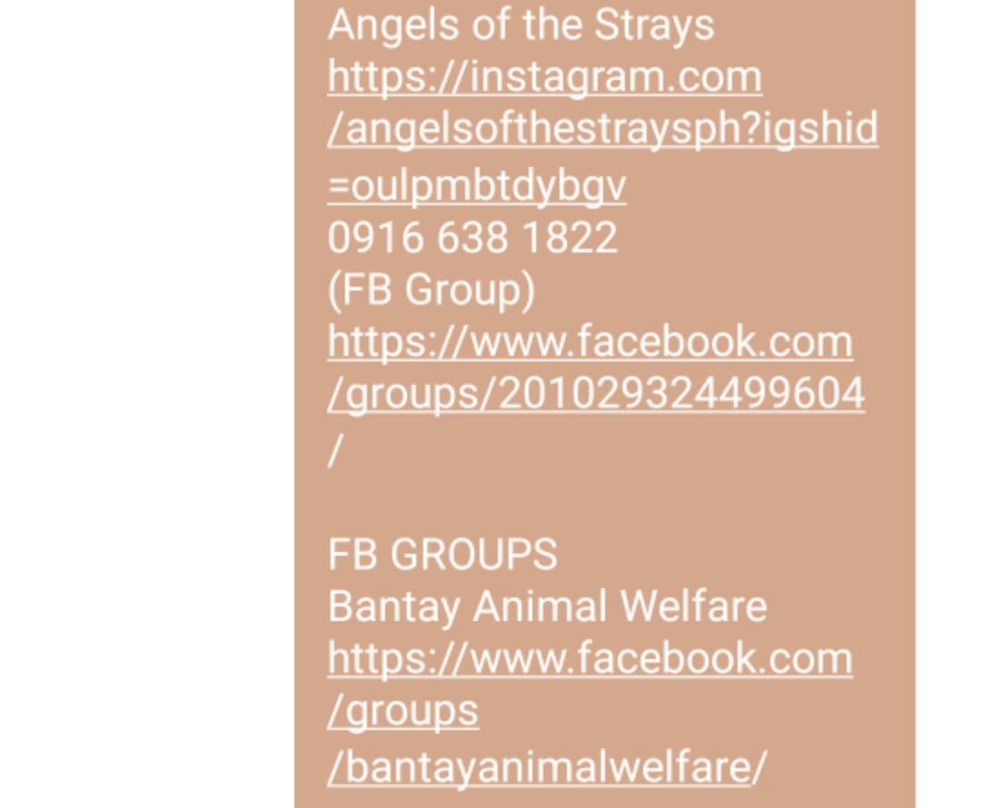Angels of the Strays
instagram.com/angelsofthestr…
0916 638 1822
(FB Group) facebook.com/groups/2010293…

FB GROUPS
Bantay Animal Welfare
facebook.com/groups/bantaya…