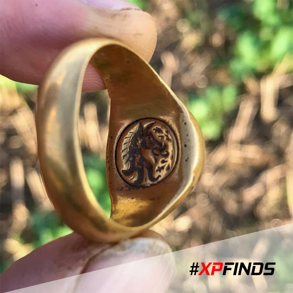 xpdetectors's tweet image. Congratulations to one of our many USA Deus users, John Rebman while on a UK detecting hoilday found this gold manorial signet ring from 1600 to 1640. #XPMetalDetectors