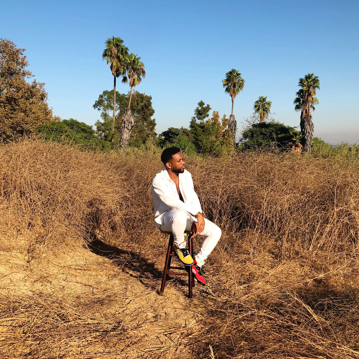 jaylienwesley's tweet photo. air jordan 5 ‘what the’ out now. much love to @ShoePalace & @Jumpman23 . respect the brand. #blessandsee https://t.co/2DgvFsj0LG