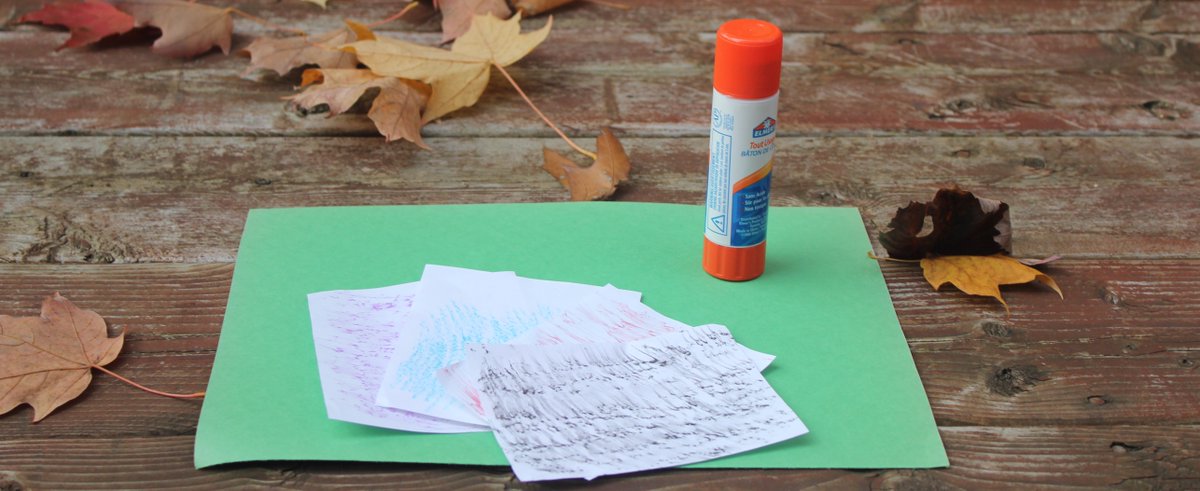 forestscanada's tweet photo. Hey @YorkRegionGovt teachers, we want to see your tree bark quilts! Share your creations using #TreeBee2020. This fun activity is a great way to combine art with the outdoors as students study the different textures and patterns of tree bark. @YRDSB @YCDSB @YRDSBEcoSchools https://t.co/90XCJbgcAr