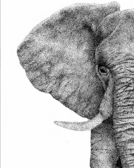 Stippling is a drawing technique in which areas of light and dark are created by ONLY using dots. 
Thank you @jessblackillustration for creating such a gorgeous elephant! 😌 

#stippling #stipplingart #meditativeartist #contemplativeart #blackandwhite #inkonpaper #pointillism