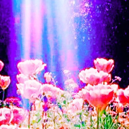 ٠ ₊㇀ 在玹 ˳𓎭⁎  ᚐܺ𓂂 ٭ ลฟตท 𓏤 𝔨𝔥𝔬𝔫𝔤𝔨𝔴𝔞𝔫 𓊪˖ ٠