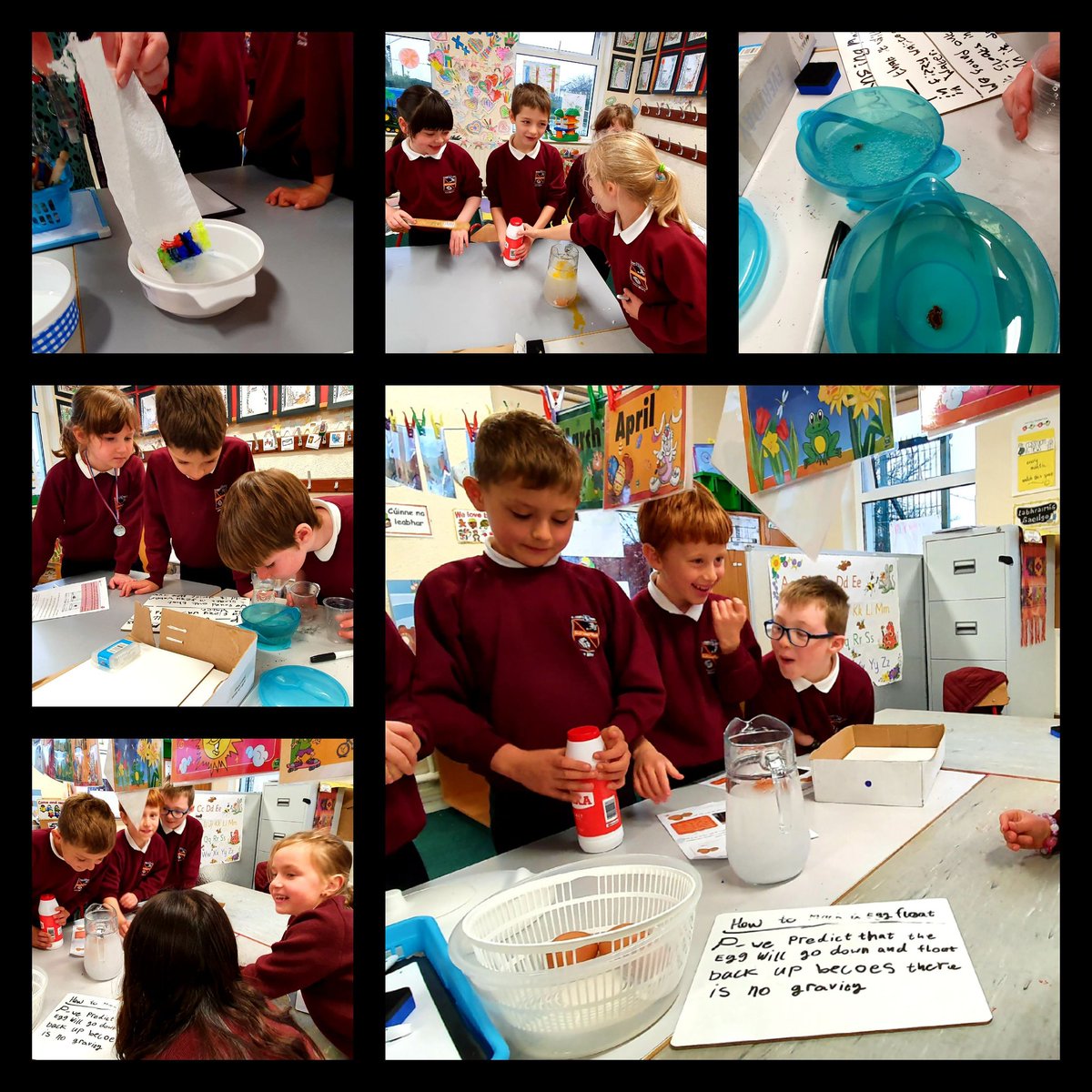 grastar21's tweet photo. A great week of celebrating all things Science#firstclass🔮💡🧪🔭🧫@ScienceWeek @MsKellyClass @kinvarans https://t.co/ELVKmacR3Y