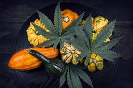 GCMuskogee's tweet image. Happy Fall Ya'll!
Be sure to stop in and check out our deals!
All flower is on the $10 shelf and OZ's are going $180 OTD!
All Concentrates and edibles are 15% off, Tropicals are 20% off, and Miscellenious are 25% off!