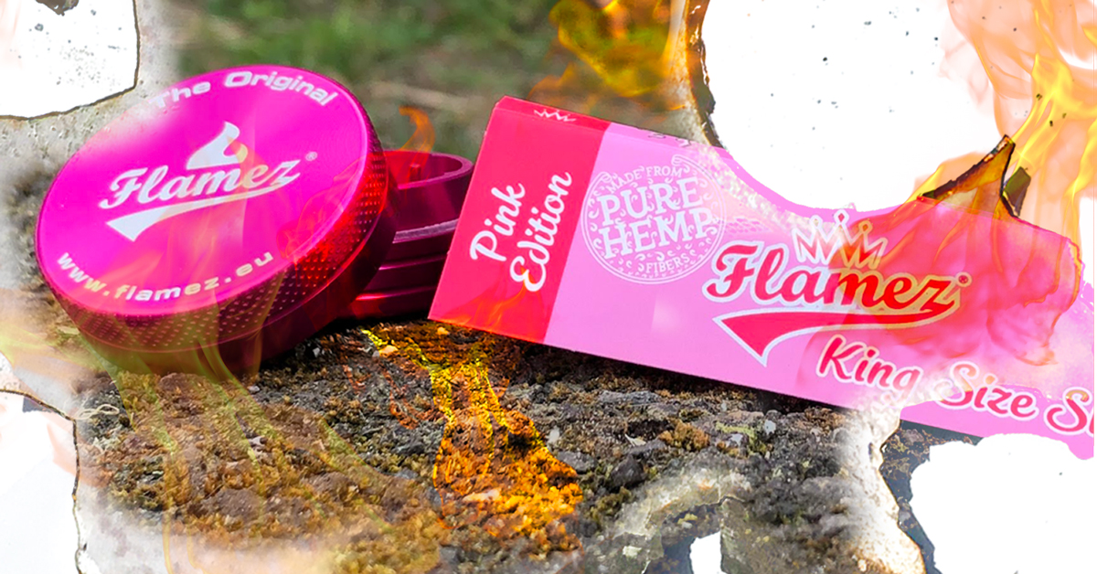 flamezproducts's tweet photo. Pink for the Win! Smoke with pride. 💗🔥
#FLAMEZ
🔥 🔥 🔥 🔥 🔥 🔥
#stoner #stoned #420 #weed #rollingpaper #instaweed #smokeweedeveryday #stonergear #dutchquality #amsterdamweed #pothead #cannabis #weed https://t.co/Sdkdvuz9D5
