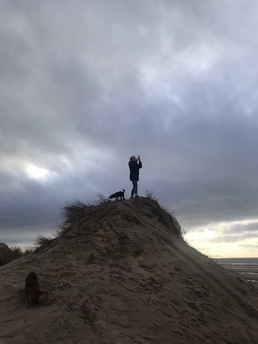 Daveconway123's tweet photo. This afternoonβs #DogWalk
#FormbyPoint https://t.co/CbUd81STWx