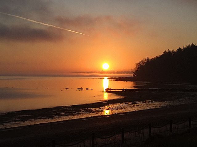 π
Sunrise at Osborne, captured by site security team member Tony. π·π
Have you snapped any great sunrise or sunsets here on the Island? https://t.co/twwRy9LZmO