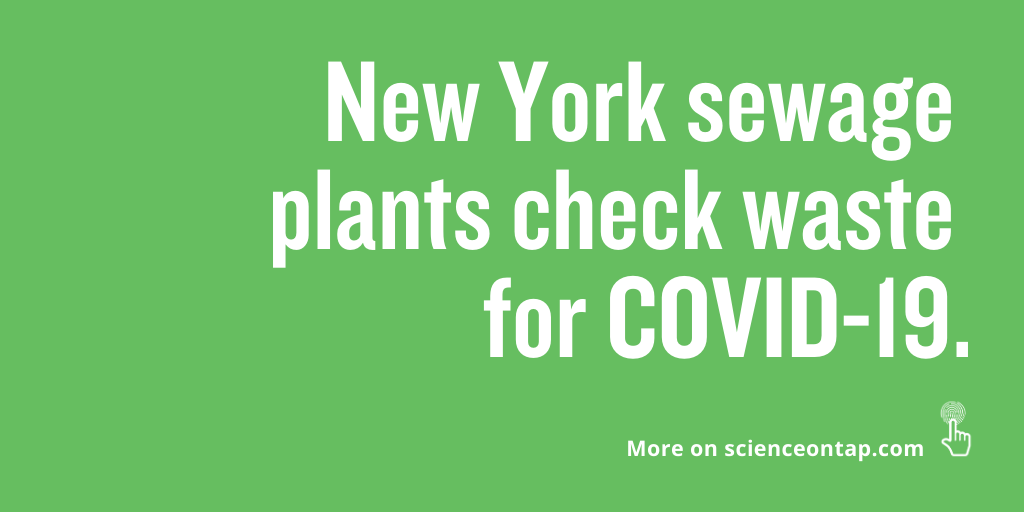 NYC was one of the first places in the country to take a hit from the #coronavirus, which is why wastewater treatment planets took action. The facilities started to collect sewage samples to test for traces of #COVID-19 to monitor the amount of virus found theverge.com/21549141/coron…