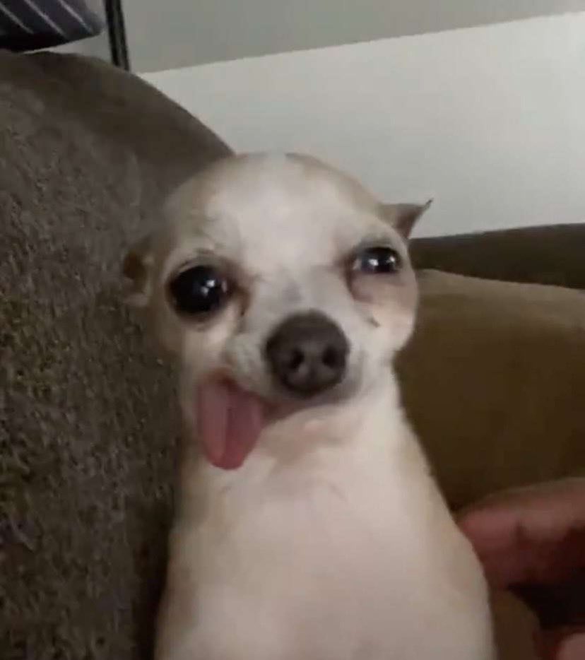 “I hope this email finds you well.” 

How the email finds me: