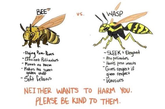 Look at that cinched waist! A bee could never