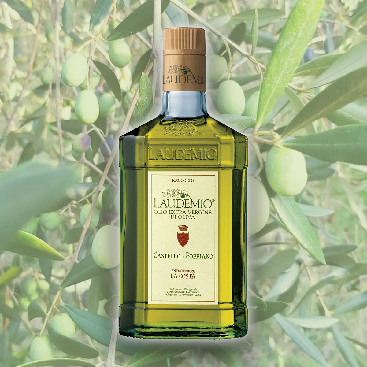gui1199's tweet image. É arrivato l'Olio Nuovo! 😍:

👉 Laudemio Podere La Costa, il fiore all'occhiello ottenuto dalle olive migliori della fattoria nei formati 250 ml e 500 ml

👉 Olio Extra Vergine d'Oliva nei formati 500 ml, 750 ml e latta da 5 lt

👉 wineclub.guicciardini1199.it/it/shop/