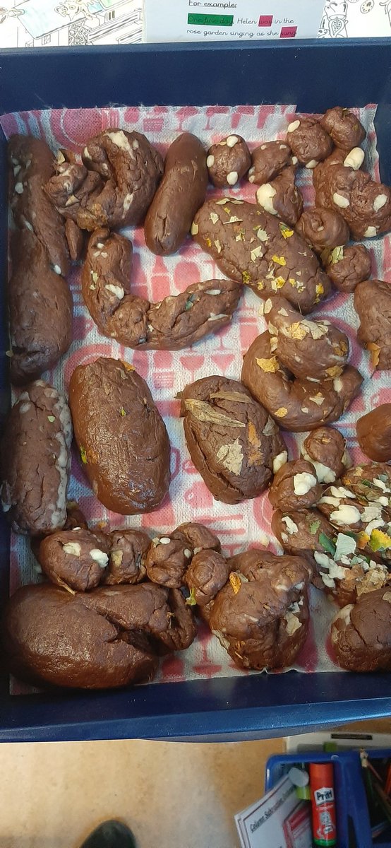 Dinosaur Poo! The students had a brilliant time making different types of dino poo with leaves and 'bones' inside! I am off to fossilise (bake!) Them ready for excavation 😂 #primaryeducation #dinosaur #fossils #dinopoo #dinosaurpoo