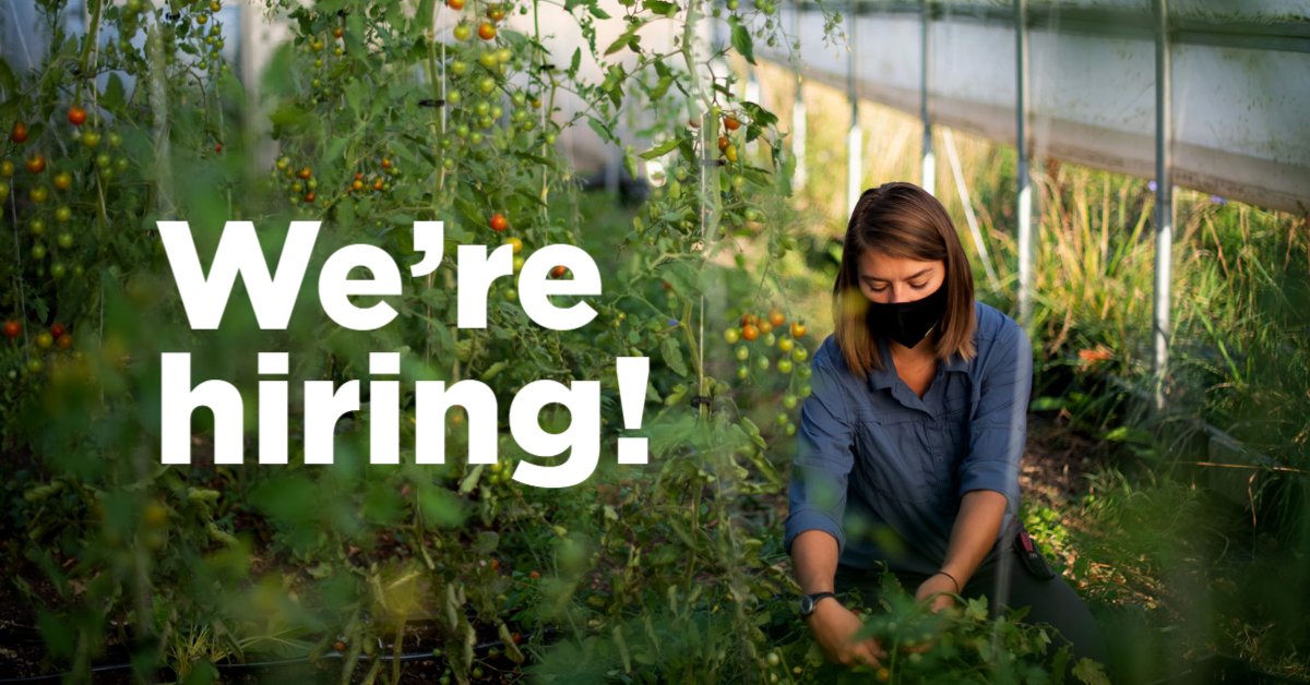 GVSUBrooks's tweet photo. We're looking for an amazing Farm Manager and Educator to join our @gvsusustains team! Learn more and apply ➡️ https://t.co/hsZBckSL5f #GVSU #Sustainability https://t.co/5twNbxrAOG
