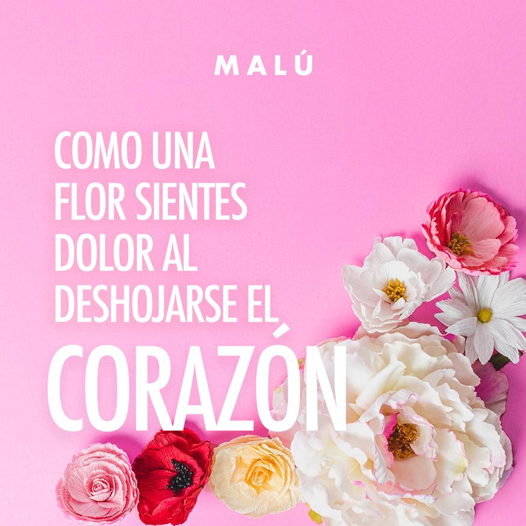 MaluFragancias's tweet photo. Si #MalúLove fuese una canción de @_MaluOficial_, ¿cuál crees que sería? Descubre cuál es para nosotros.  #MalúFragancias
.
.
.
#Malu #Maluleros #Pink #song #love #happyweek #fan #fragancia #forher #esenciamalu #edt #starsfragancias https://t.co/mdwZn7qMSR