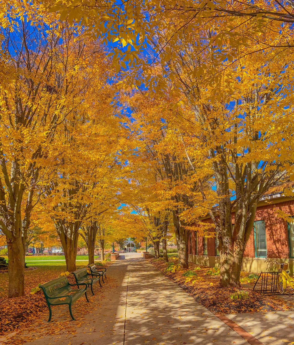 This could easily be the pic of month by @tustugov President @cody.miller. 🍂😍