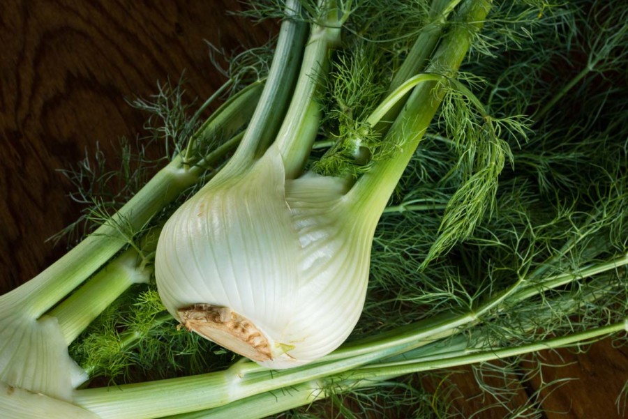 _Woman_health's tweet photo. The #HerbalRemedy Which Protects Our Body Against The Onset of Acute Inflammation and Chronic Inflammatory Diseases, Scientists Find #Fennel https://t.co/4tmxfVBmlr https://t.co/vOPWqRtAJy