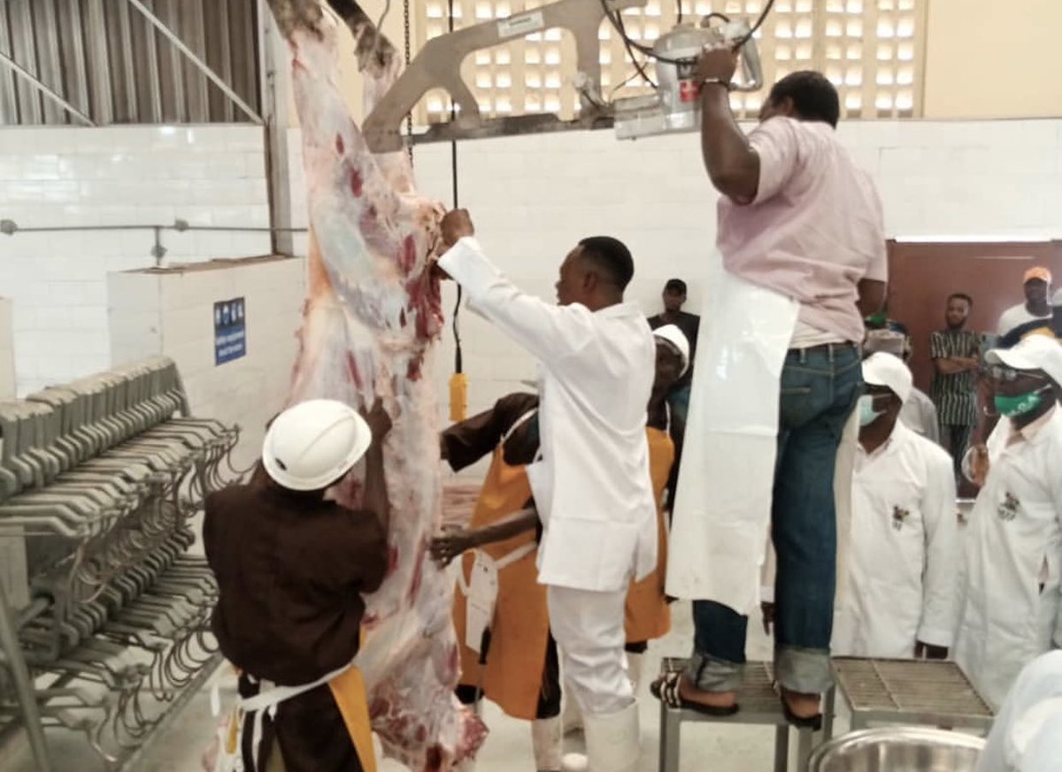 followlasg's tweet photo. The Lagos State Government says it will establish a butchers’ academy in order to train new and existing butchers in global best practices on slaughtering in the red meat value chain in the State.
@jidesanwoolu @lagosagric1 @Abi_Olusanya @gbenga_omo
#LASG #ForAGreaterLagos https://t.co/SiOQ63VN8p