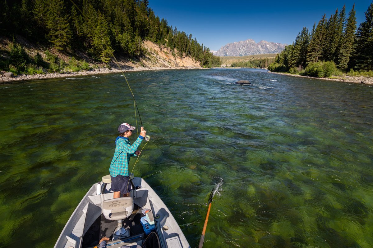 WorldCastGoFish's tweet photo. Flashback to a warm and sunny summer day in Grand Teton National Park! More snow is on the way tomorrow and through the weekend.
•gofish@worldcastanglers.com•800.654.0676•⁠
#worldcastanglers #flyshop #flyfishing #jacksonhole #grandtetonnationalpark #snakeriver #wyoming https://t.co/0gCfWWbq7X