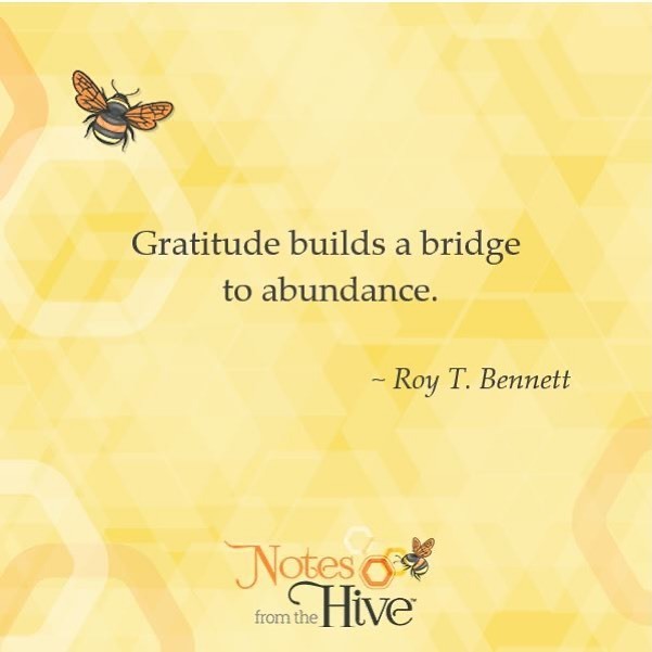 NotesfromHive's tweet image. #thoughtfulthursday #inspirationalquotes #growth #gratitude instagr.am/p/CHfsYXLJOex/
