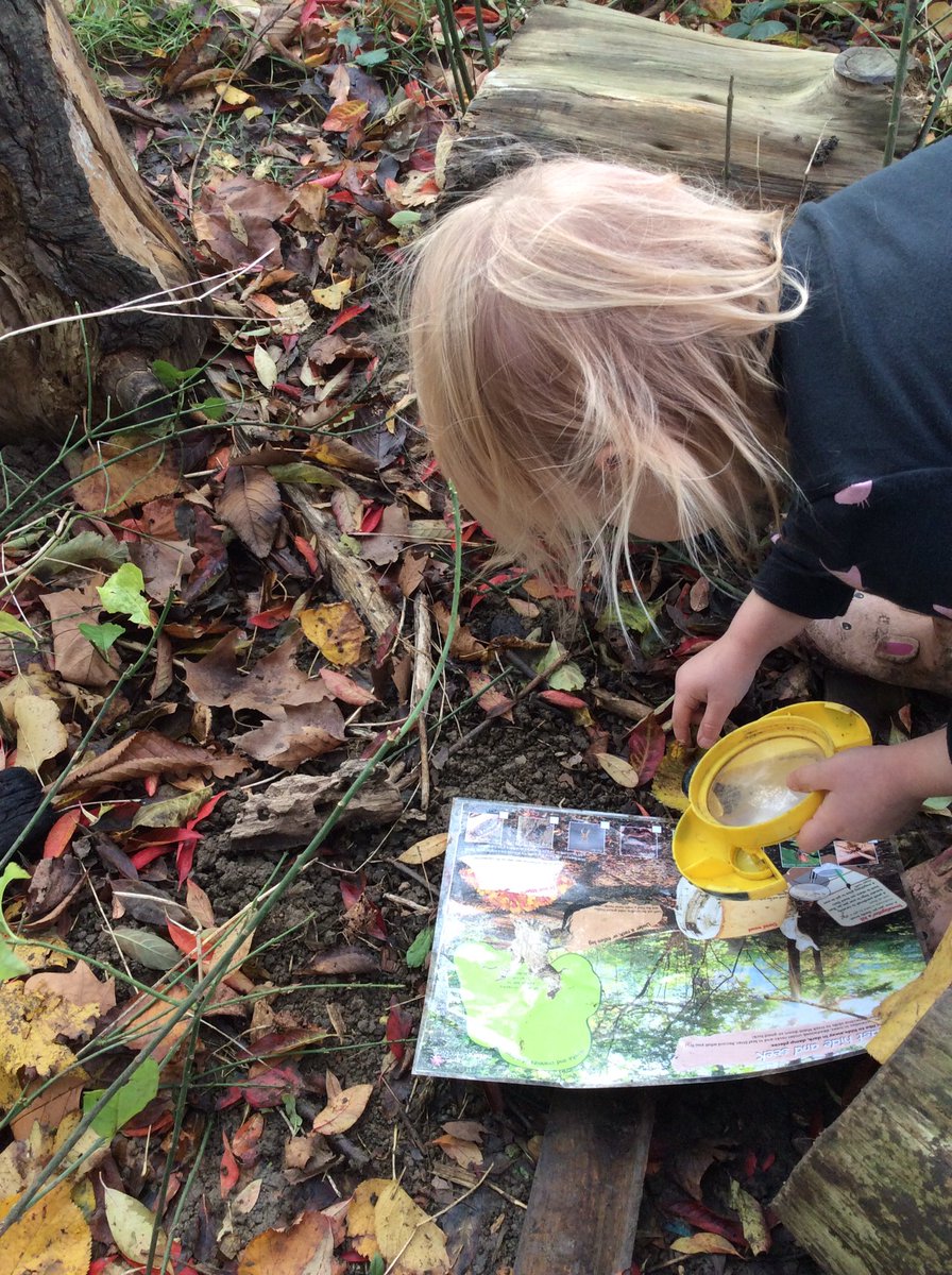 EyfsLakeside's tweet photo. RW are fantastic bug hunters! We even found a frog in forest school! 🕷🐜🐸 https://t.co/EVVRSPra3y